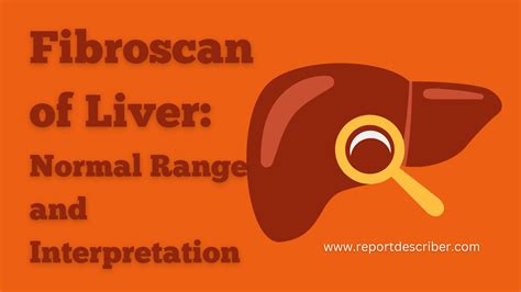 liver hardness test|fibroscan of liver normal range.